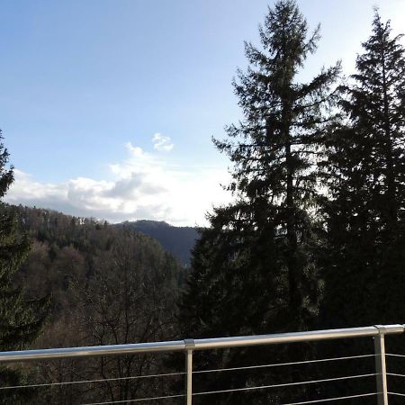 Gite Esperanza Spa Et Sauna Haselbourg ภายนอก รูปภาพ