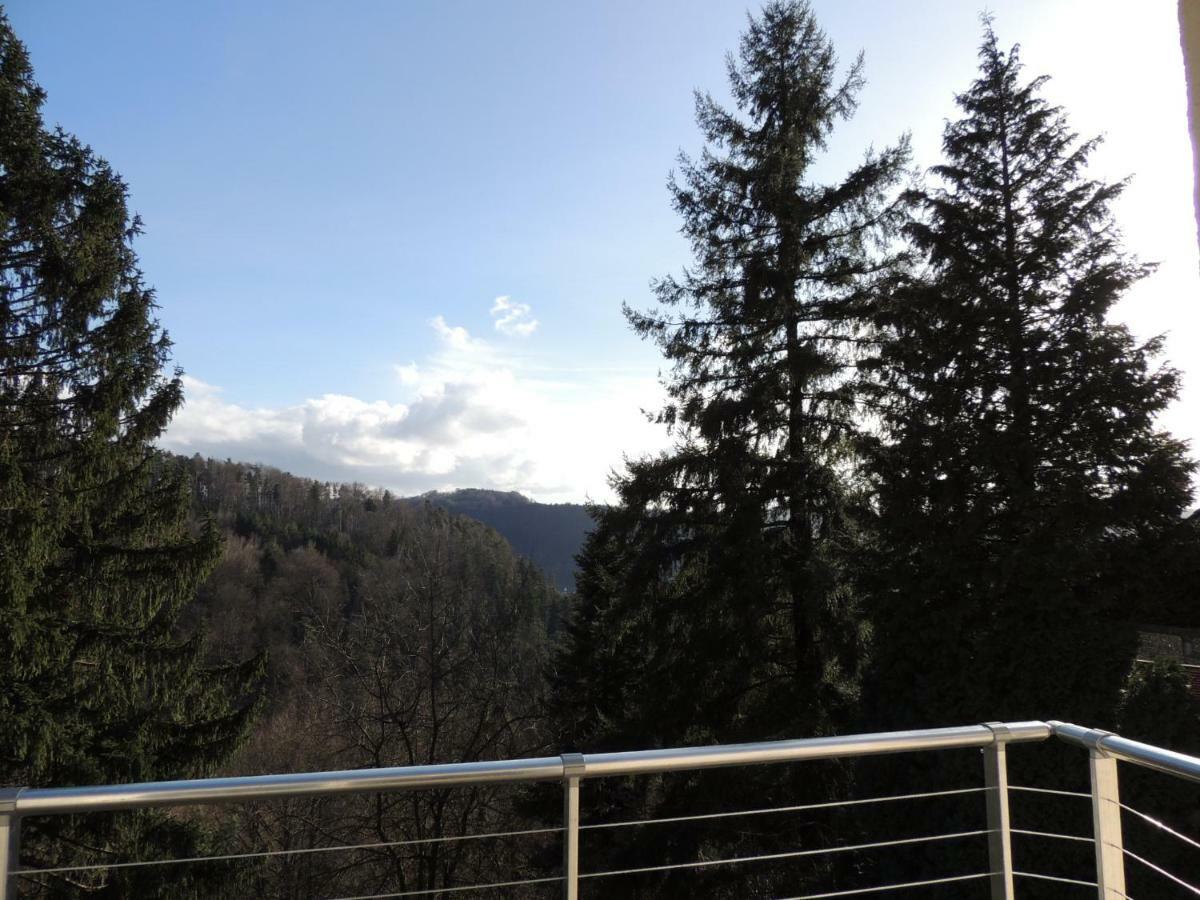 Gite Esperanza Spa Et Sauna Haselbourg ภายนอก รูปภาพ